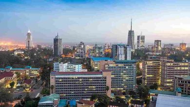 Plan Your Kenya Travel Guide: Top Tips for a Seamless Trip