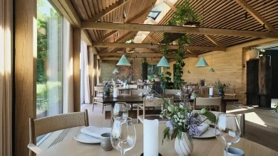 Noma: Fine Dining in Denmark