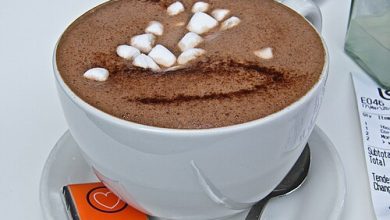 Hot Chocolate Recipe Bliss