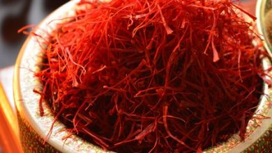 Authentic Saffron Risotto: Italy’s Golden Recipe, | Feast and Rest | Foods