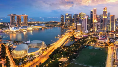 Singapore Travel Guide: Plan Your Dream Trip Travel