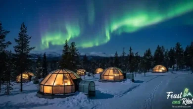 The Rise of Noctourism Travel Trends in Scandinavia