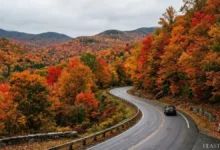 Vermont Fall Foliage Travel Guide Peak Timing, Driving Routes, and Regional Planning