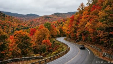 Vermont Fall Foliage Travel Guide Peak Timing, Driving Routes, and Regional Planning