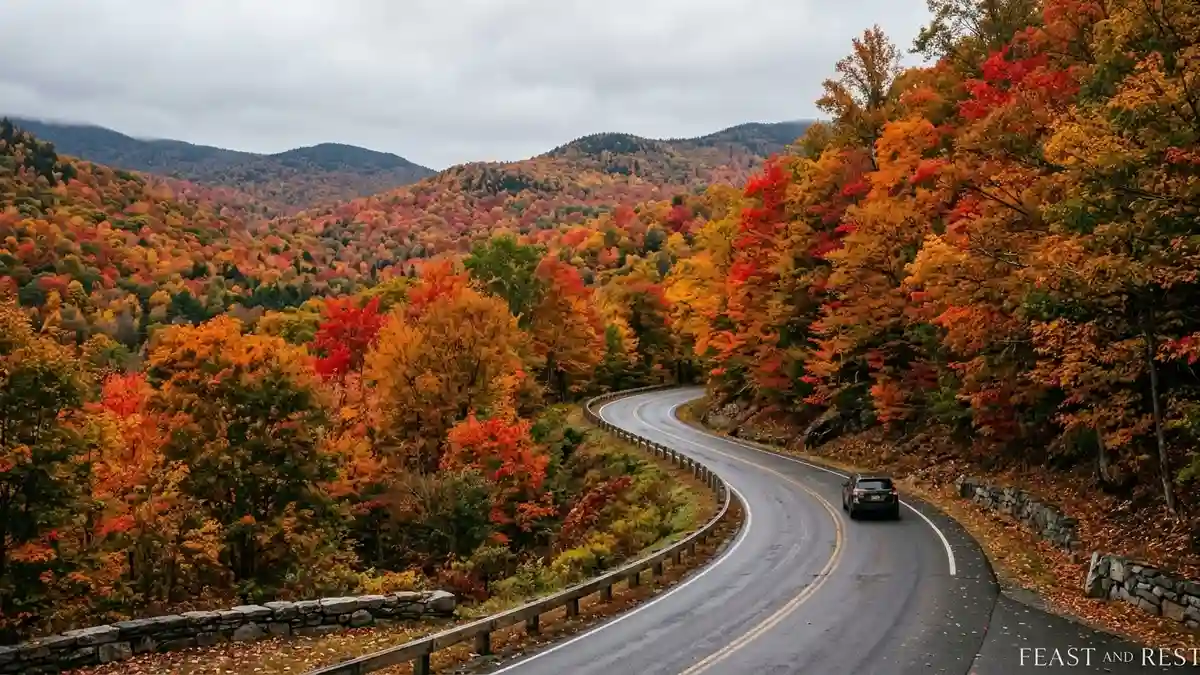 Vermont Fall Foliage Travel Guide Peak Timing, Driving Routes, and Regional Planning